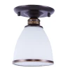 A9518PL-1BA Потолочная люстра Arte Lamp Bonito A9518PL-1BA