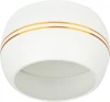 KL81 WH/GD Встраиваемый точечный светильник ЭРА KL81 WH/GD (220V, круглые)