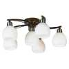 LSL-8807-06 Потолочная люстра Lussole Mores LSL-8807-06