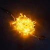 EST200-3W10-1Y Гирлянда Нить 20м Желтая с Возможностью Управления 24В, 200 LED, Провод Прозрачный Силикон, IP65