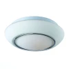 SL497.502.03 Настенно-потолочный светильник ST Luce Bagno SL497.502.03