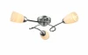 1125/3C Потолочная люстра J-Light Deni 1125/3C