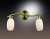 2067/2W Спот Odeon Light Otta 2067/2W