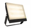 732106 Уличный прожектор Deko-Light Brachium 732106
