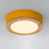 WUDDA01 Потолочный светильник круглый Wudda D30 Желтый ImperiumLoft Wudda01 (179763-26) (LED, 220V, круглые)