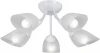 V3405-0/5PL Потолочная люстра Vitaluce V3405-0/5PL (220V)