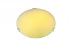 A7230PL-2CC Потолочный светильник Arte Lamp Dish A7230PL-2CC