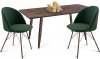 4455362101 Стол со стульями SHT-DS117 лиственно-зеленый/медный/палисандр Sheffilton 4455362101