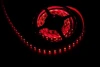 LC-5050-24R60 Светодиодная лента LC-5050-24R60