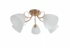 1501/5C Потолочная люстра J-Light Goldy 1501/5C