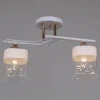 06096-0.3-02 WH+FG Потолочная люстра на штанге Reluce 06096-0.3-02 WH+FG