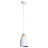 A5167SP-1WH Подвесной светильник Arte Lamp Talli A5167SP-1WH