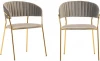 FR 0392P Комплект из 2-х стульев Bradexhome Turin латте, золотые ножки