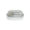 A7021PL-1WH Потолочный светильник уличный Arte Lamp A7021PL-1WH