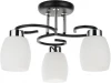 A4505PL-3BK Потолочная люстра Arte Lamp Krit A4505PL-3BK