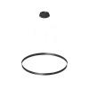 DK6273-BK Подвесной светильник кольцо светодиодный Denkirs Raydia DK6273-BK