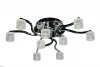 OML-13907-09 Потолочная люстра Omnilux OML-139 OML-13907-09