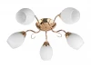 TL3520X-05FG Потолочная люстра Toplight Kristin TL3520X-05FG