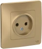 BLNRS000014 Розетка встраиваемая без заземления (титан) Systeme Electric Blanca BLNRS000014