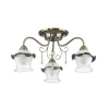 3239/3C Потолочная люстра Lumion Zidoni 3239/3C