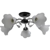 TC-995-205 WG Люстра потолочная Toscom Casti, 5 плафонов, венге с хромом, белым и прозрачным