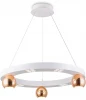 FL5959 Подвесной светильник светодиодный Ambrella COMFORT FL5959 (220V, на тросе, шар, кольцо)