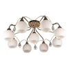 OML-31907-09 Потолочная люстра Omnilux Aunis OML-31907-09