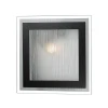 2736/1W Настенно-потолочный светильник Odeon Light Ulen 2736/1W