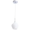 A4283SP-1CC Подвесной светильник Arte Lamp Bicchiere A4283SP-1CC (220V, на проводе, круглые)