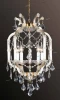 NEW BEAUTY SP5 Crystal Lux Beauty NEW SP5