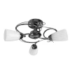 A6545PL-3BC Потолочная люстра Arte Lamp Alessia A6545PL-3BC