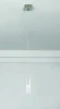 SL451.103.01 Подвесной светильник ST Luce SL451 SL451.103.01
