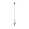 2570/1 Подвесной светильник Odeon Light Leman 2570/1