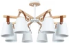 A7032PL-8WH Потолочная люстра на штанге Arte Lamp Thomas A7032PL-8WH (220V)