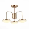 SLE120.202.03 Потолочная люстра ST Luce Pratico SLE120.202.03