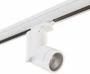 A3T051016 Трековый светильник Lightstar ILLUMO F A3T051016