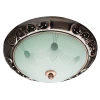 A3014PL-2AC Потолочный светильник Arte Lamp Alta A3014PL-2AC