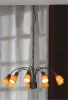 LSQ-8503-09 Подвесная люстра Lussole Raccolana LSQ-8503-09