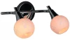 OML-21501-02 Спот Omnilux Leiston OML-21501-02