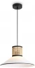 FR5483PL-01B3 Подвесной светильник Freya Mixture FR5483PL-01B3 (220V, на проводе)