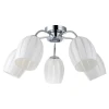 LSF-6703-05 Потолочная люстра Lussole Brindisi LSF-6703-05