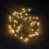 LL75-1-2WW Гирлянда Нить 10м Тепло-Белая 220В, 75 LED, Провод Черный Каучук, IP65