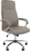 CHAIRMAN CH425 Компьютерное кресло CHAIRMAN CH425 (Металл,Экокожа/Серый)