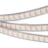 028344 Светодиодная лента Arlight SPI 028344