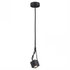 LSP-9680 Подвесной светильник Lussole Loft LSP LSP-9680