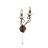 2529/2W Бра Odeon Light Riva 2529/2W