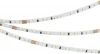 030164 Светодиодная лента Arlight RT 030164