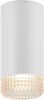 OL40 WH/CL Точечный светильник ЭРА OL40 WH/CL
