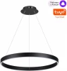 359450 Подвесной светильник светодиодный диммируемый Novotech Sotto 359450 черный (регулировка яркости, 220V, управление смартфоном, умный дом - Алиса, Tuya Smart, на тросе, кольцо)