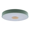 10003/24 Green Потолочный светильник круглый Loft IT Axel 10003/24 Green (LED, 220V, круглые)
